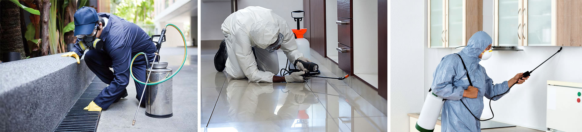 Dedetizadora de traças